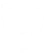 Lamborghini logo